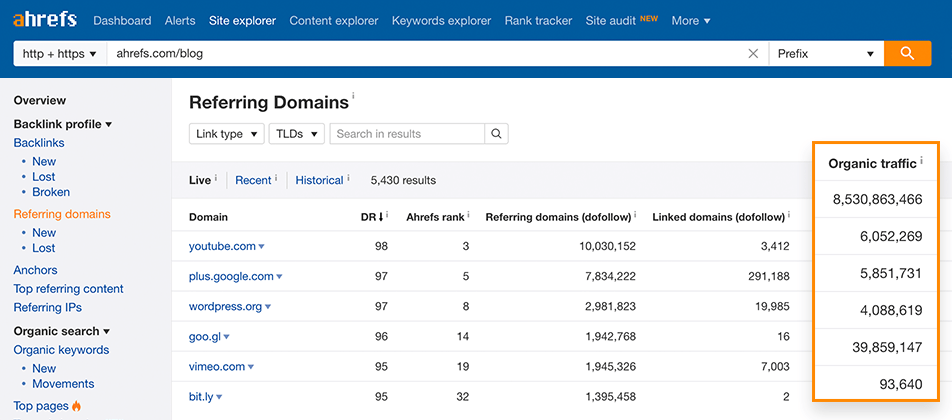 Referring domains report