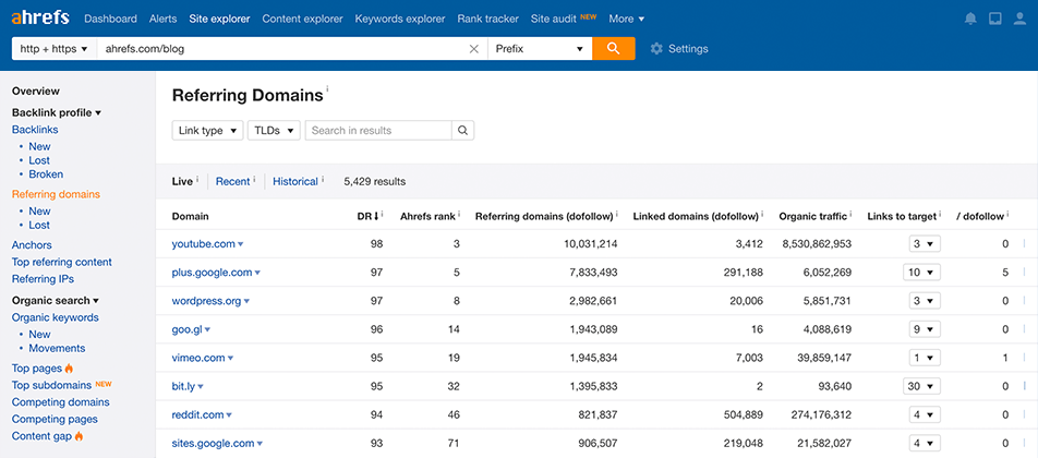 referring domains