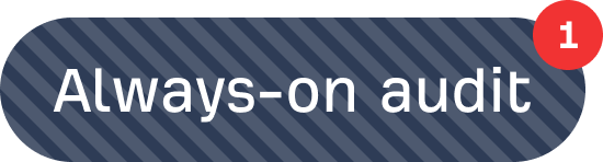 Always-on Audit